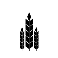 Estevan